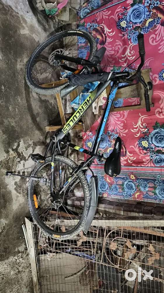 New and fresh good condition