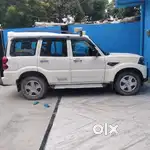 No accetental,fresh pics