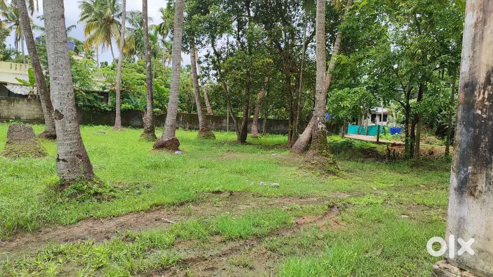 Madavana panangadu water front 1 acre