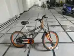 Atlas cycle