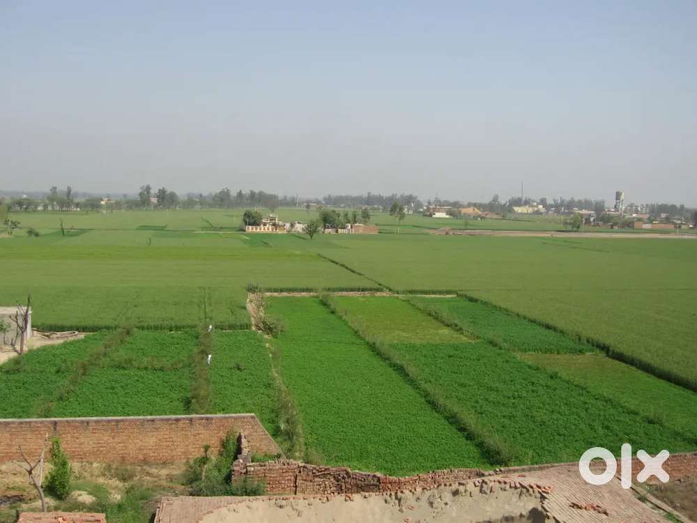 There are fields but it is good for the factory kurali to roper roed