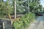 30 cents of land in Pandanad