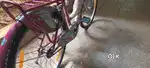 **Urgent Sell**Momstar floria girl/womens cycle