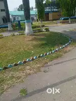 1 Plot and 2 shop for sale