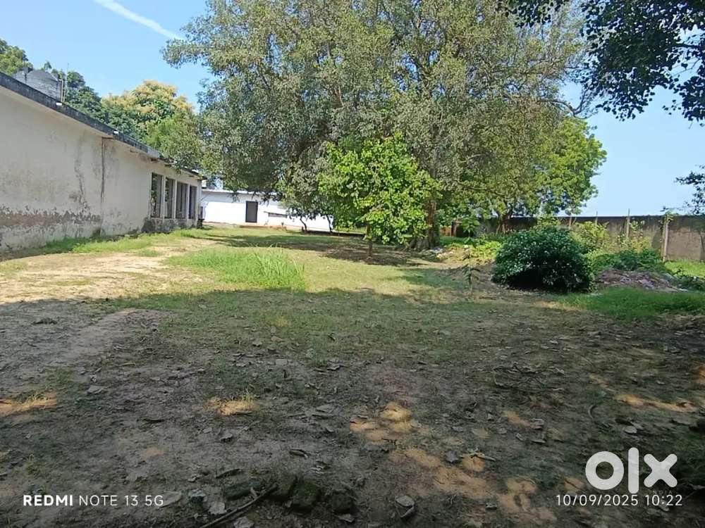 For where house, marrige laun