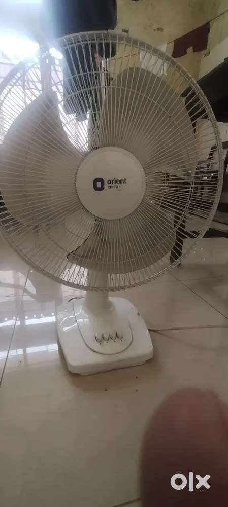 Orient table fan and mattress