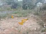 NH8 er pashe Upthakhali 16 Gonda (32 satak ) Jami bikri kara Habe
