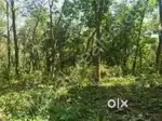 Dudhpatil... Land sell