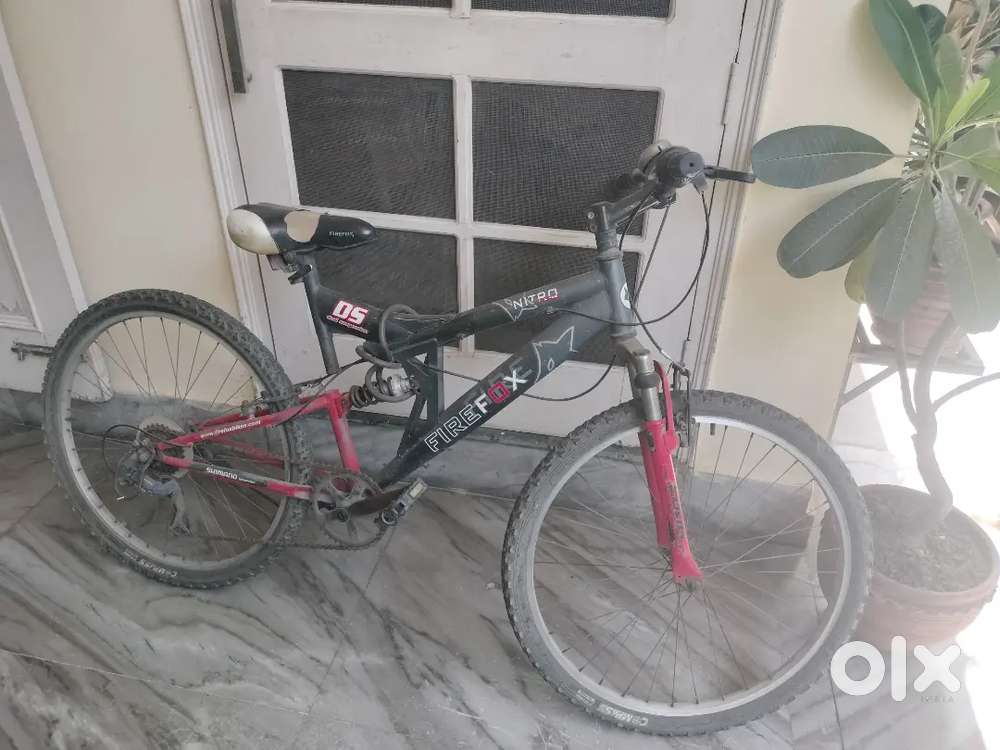 Firefox cycle