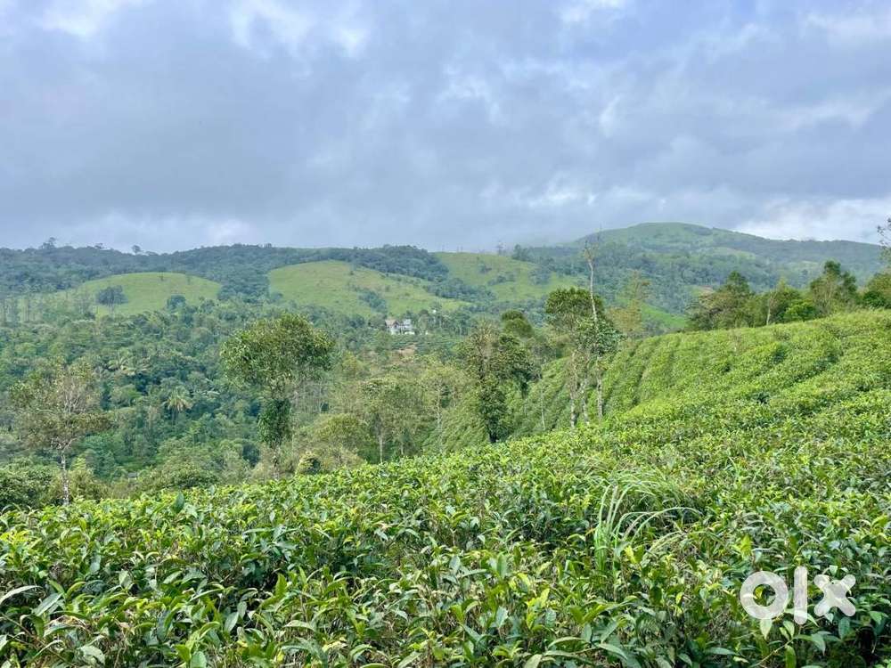 20,40 360 degree Forest View land near Vagamon