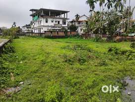 Land for sale at Lichubari , Jorhat , Assam