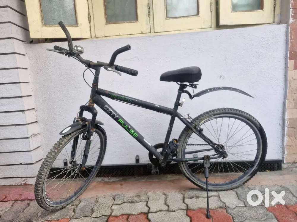 City Pulse Bicycle