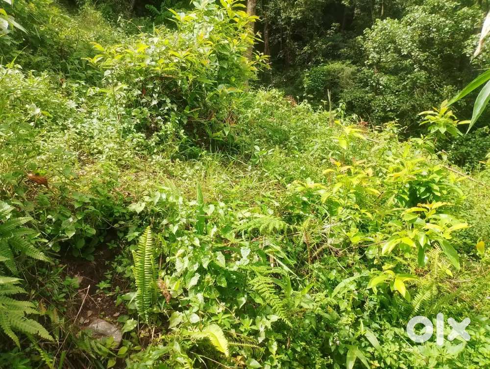 Road side land sale at Bojoghari highway NH10