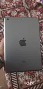 Grey color