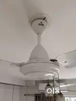 Ceiling fans