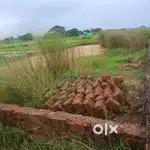 Plot for sale