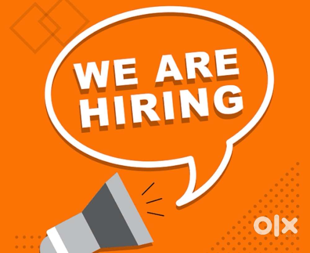 Urgently need cake packing executive