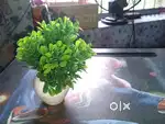 Plastic tree  for decoration