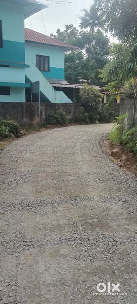 ചേർത്തല, കഞ്ഞിക്കുഴി