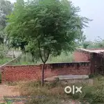 274 Gazz Plot at Adarsh Nagar 23/2 Street  Bathinda