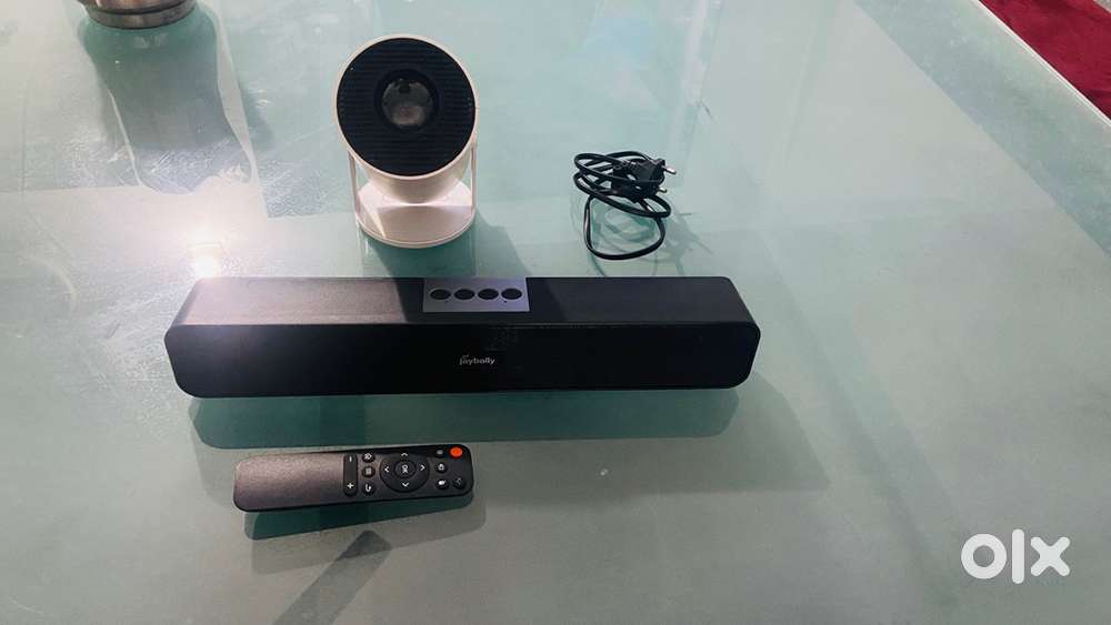 Projector and speaker