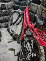 New cycle unused