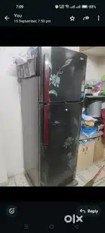 Lg double door refrigerators
