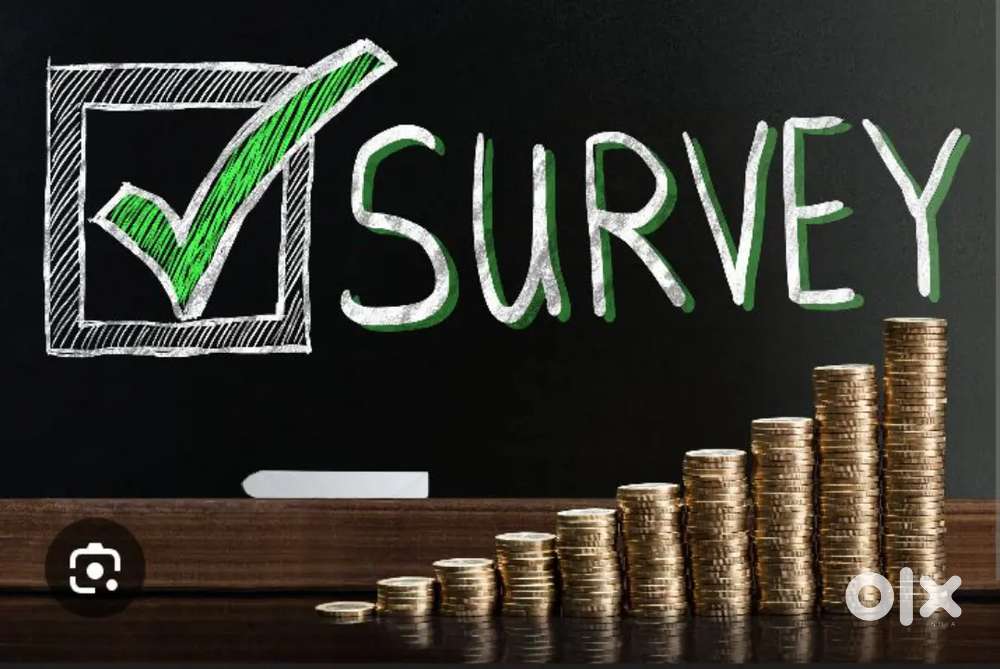 Wanted Boys and Girls for Election opinion poll survey