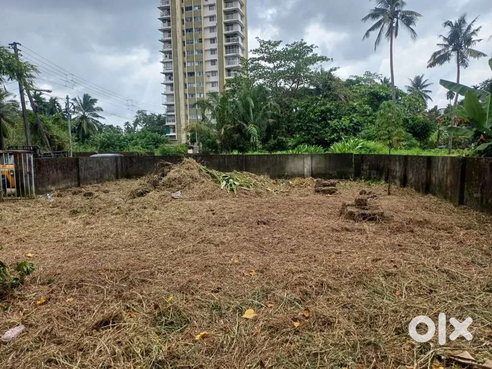 മാർക്കറ്റ് വിലയെക്കാൾ കുറവിന് ഹൗസ് പ്ലോട്ട്