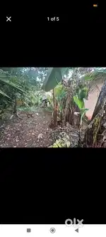 വീടും സ്ഥലവും വിൽപ്പനയ്ക്ക്