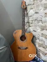 Beginner Acoustic guitar