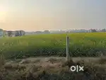 25 Bigha Land  East facing. 60 ft road. Only 3.5 km from main bus stan
