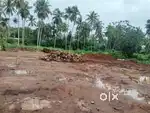6.5 cents and 7 cents plot for sale nearby Viyyur - Thrissur