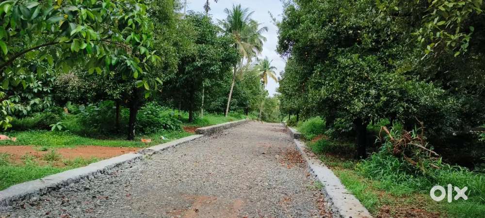 ചാലക്കുടിക്ക് സമീപം 4 സെൻ്റ് മുതൽ പ്ലോട്ടുകൾ വിൽപ്പനക്ക്