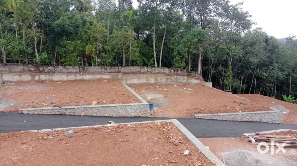 Thonnaikkal aj college-manjamala main road touch 5cent plots