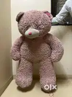 Giant pink teddybear
