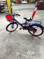 BSA Doodle Cycle - Stylish, Lightweight & Perfect For Kids/Teens
