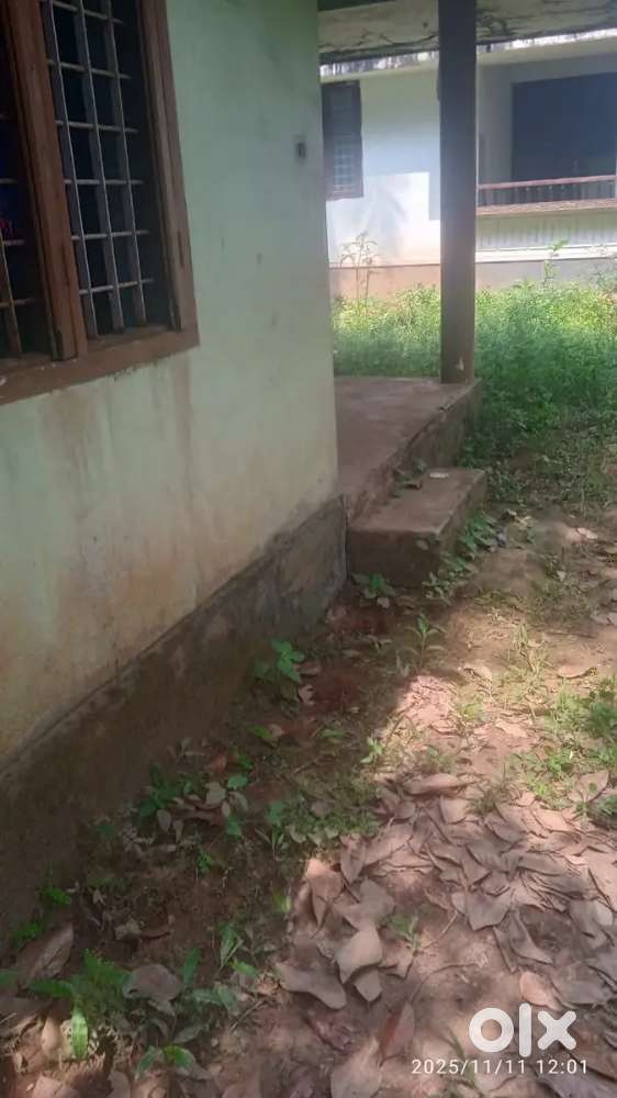 Moozhikkal cheruvatta 2 BHK old house with 4 cnt plot for sale.