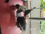 Single owner