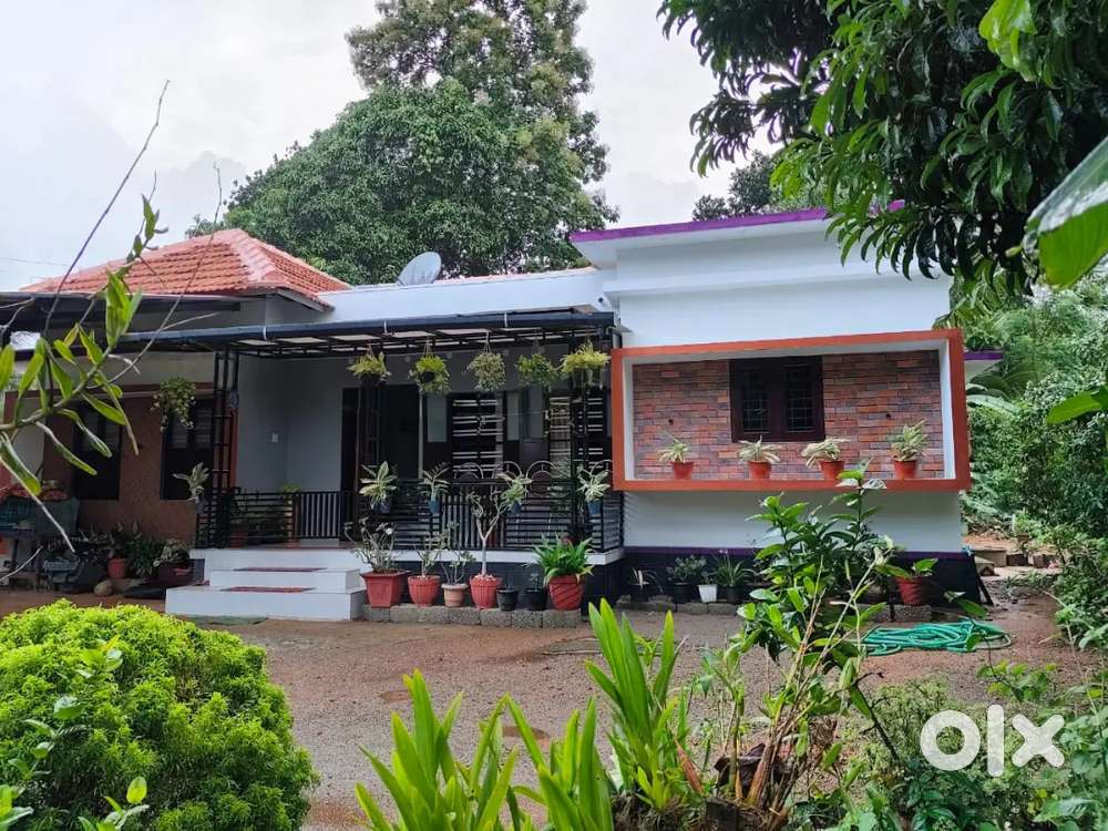 Plot with house for sale