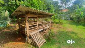 Goat shed for sale