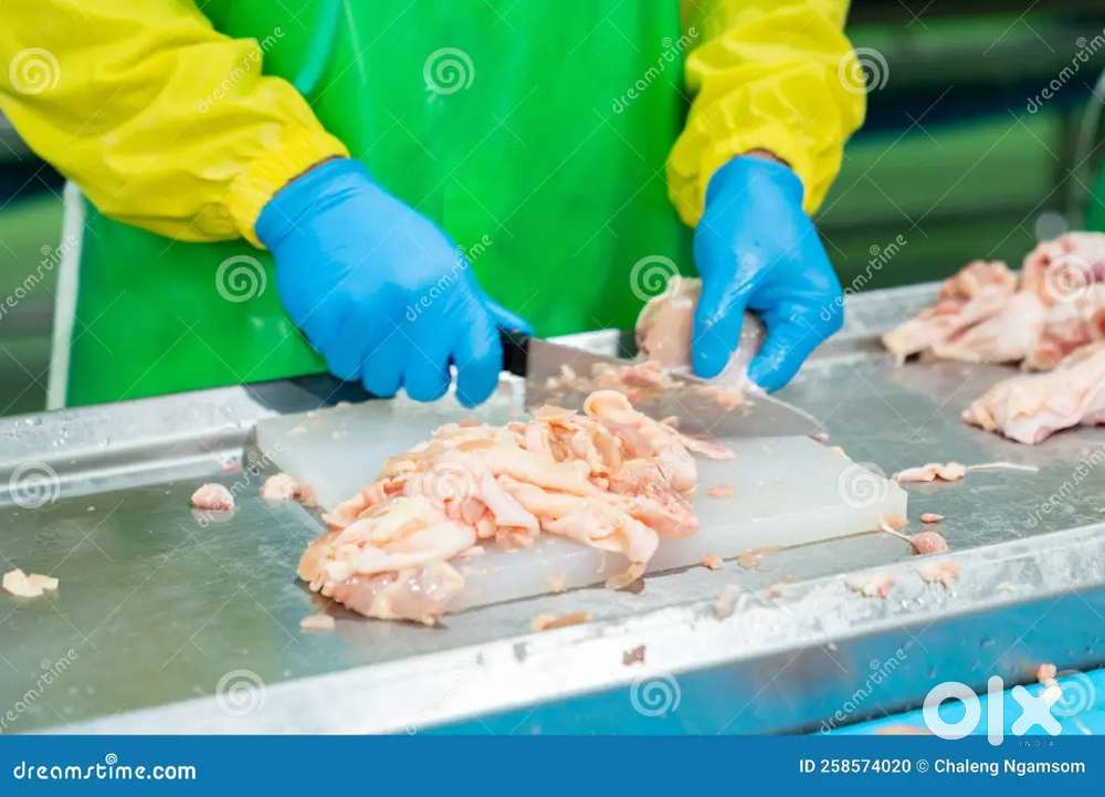 Wanted chicken cutting worker muslim in khammam Good salary food room