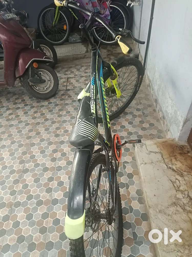 Yellow colour cycle