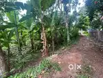 Plot For Sale 11 cent