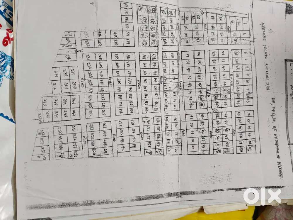 Vikrama nager ayyapagudi plot sale nellore