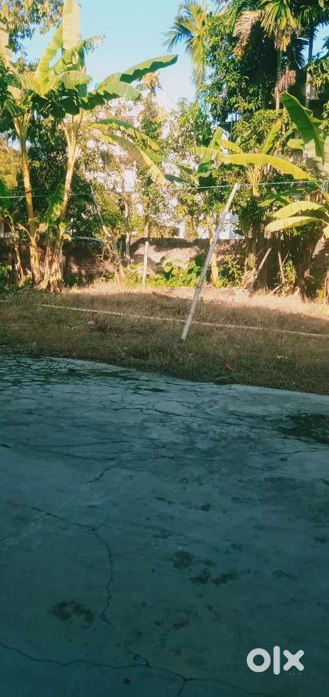 Land Self Sale