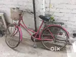 Nice cycle