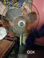 Crompton Stand fan