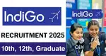 Ground Staff jobs in indigo Airlines urgent hiring