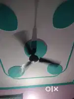 Ceiling fan